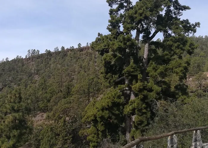 Appartement Casa Lorenzo - En Playa De Americas